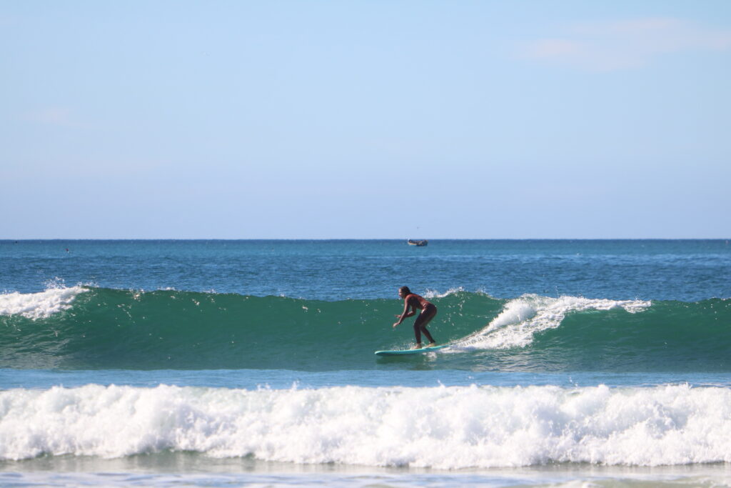 surf and travel