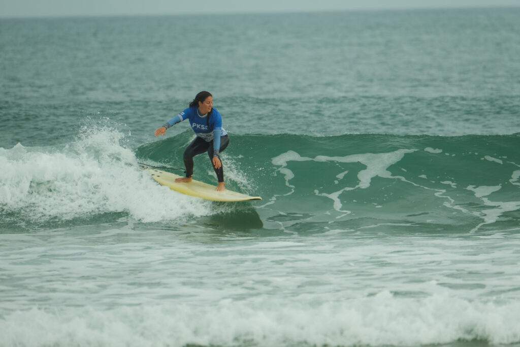 surf and travel