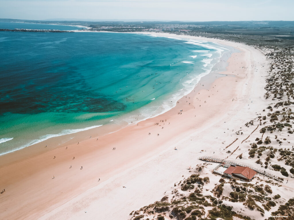 surf and travel